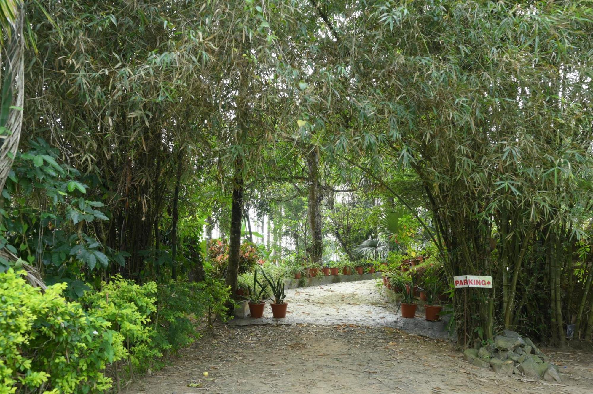 Coffee Island Resort Kaniyambetta ภายนอก รูปภาพ