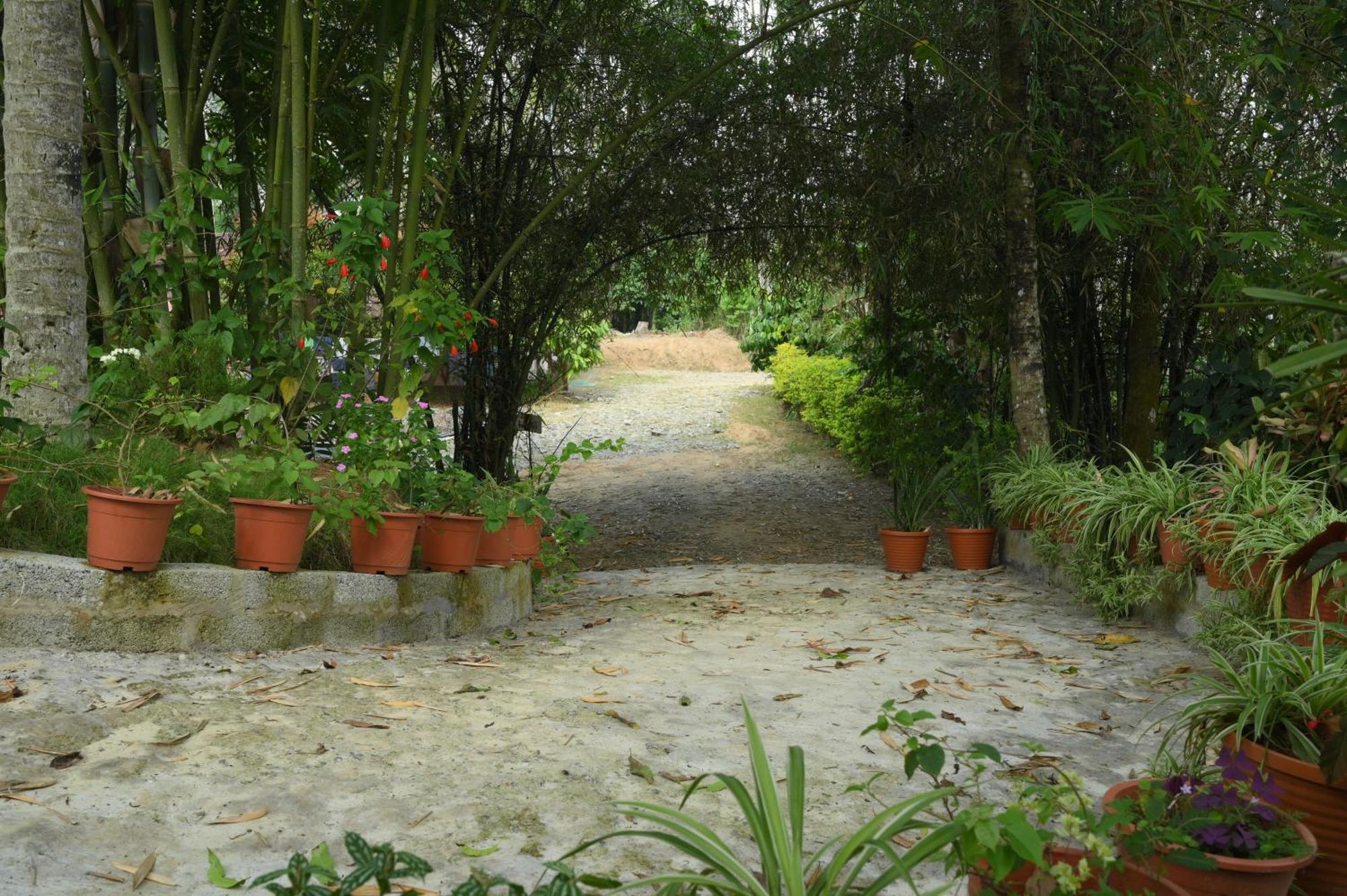 Coffee Island Resort Kaniyambetta ภายนอก รูปภาพ